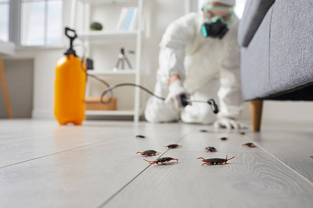 Trusted Cockroach Control service in The Village of Indian Hill, OH - Nex Pest Control