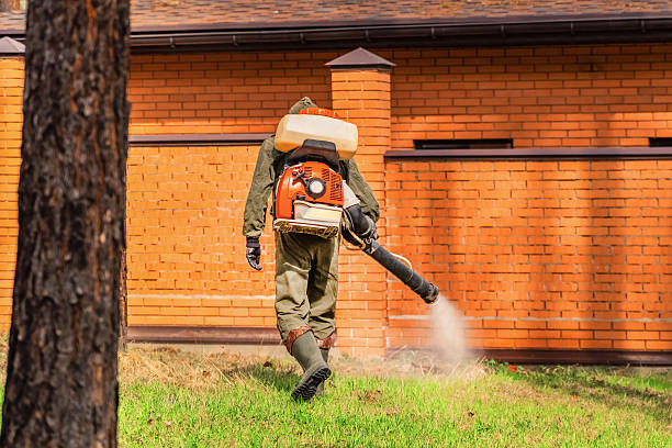 Trusted Ant Control service in The Village of Indian Hill, OH - Nex Pest Control
